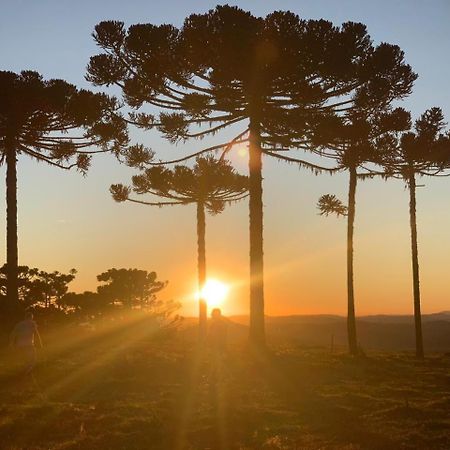 Aconchego Da Serra Geminados São Joaquim Buitenkant foto