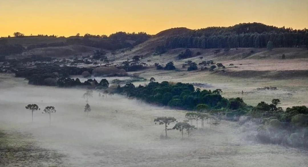 Aconchego Da Serra Geminados São Joaquim Buitenkant foto